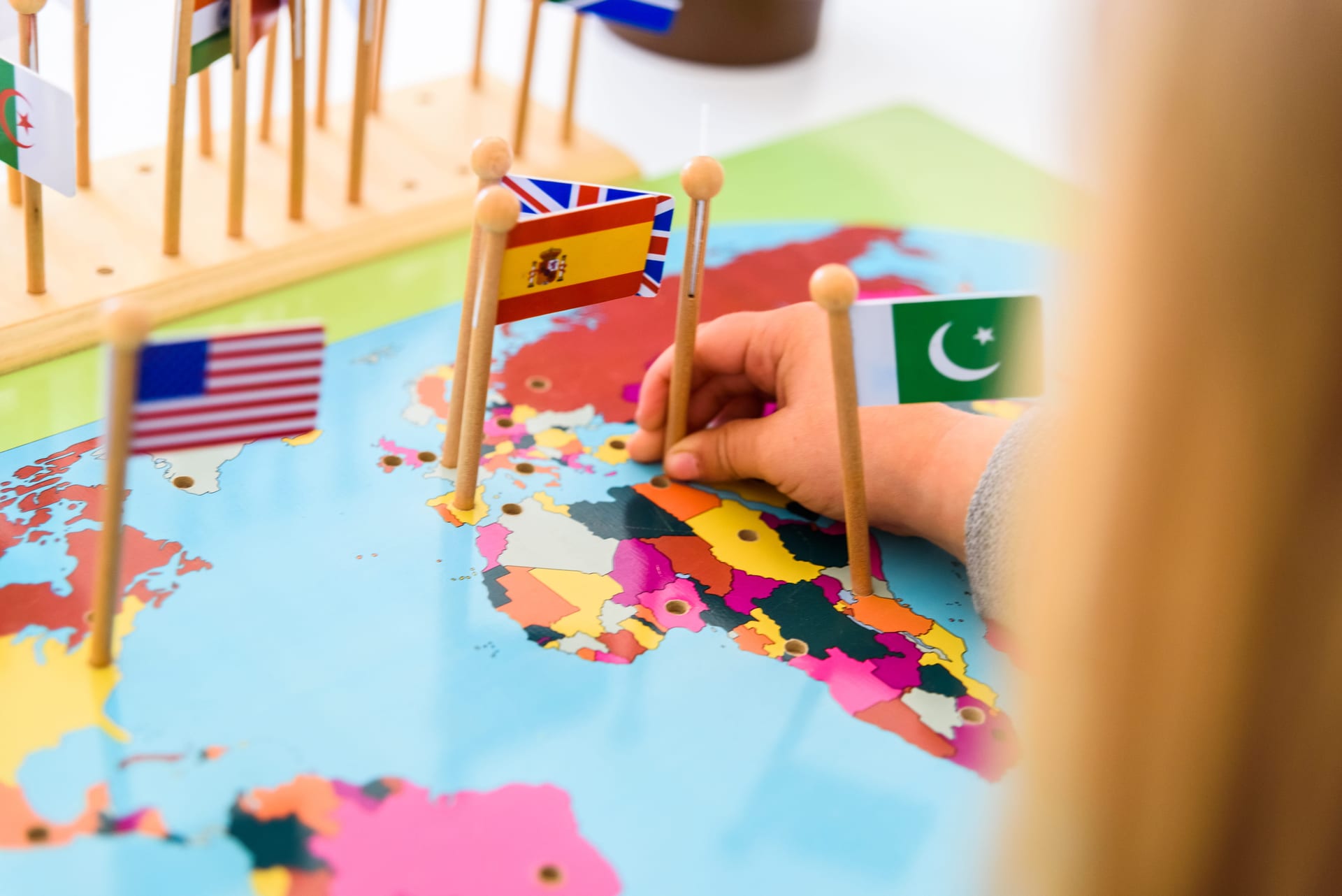 International education credential verification