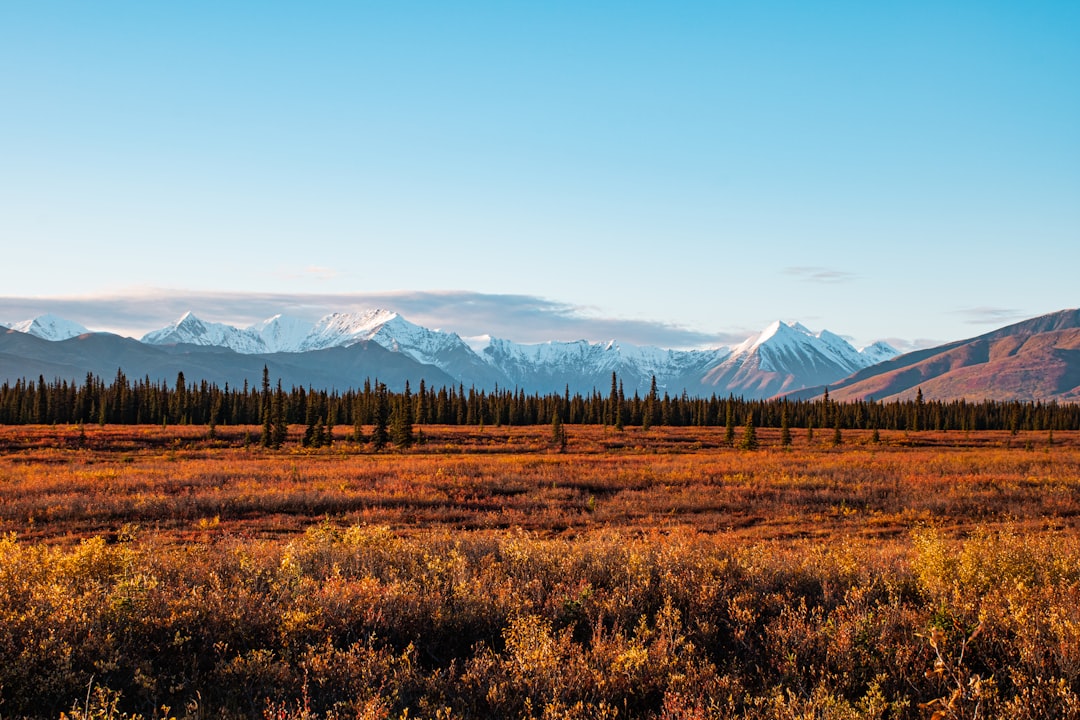 Mountain landscape in Alaska