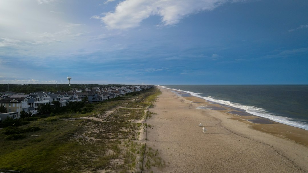 Delaware coastal beach landscape