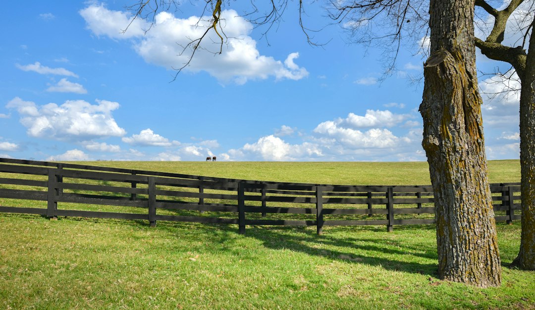 Bluegrass horse farm countryside in Kentucky