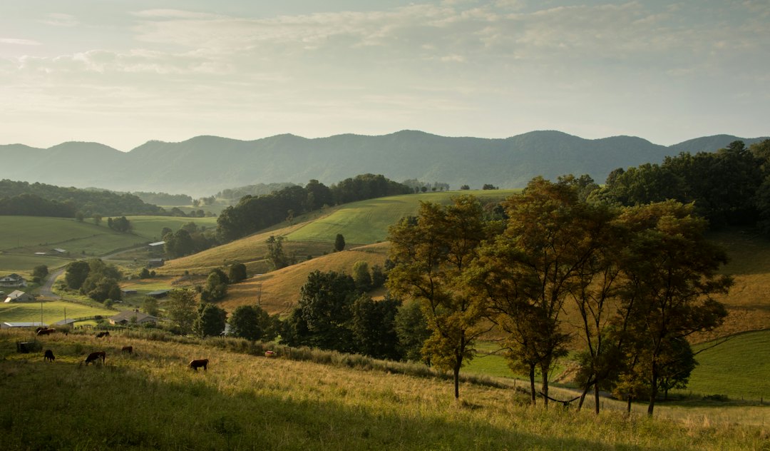 Blue Ridge landscape in Virginia